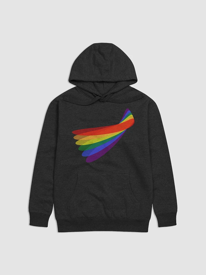 Rainbow Fan Hoodie product image (1)