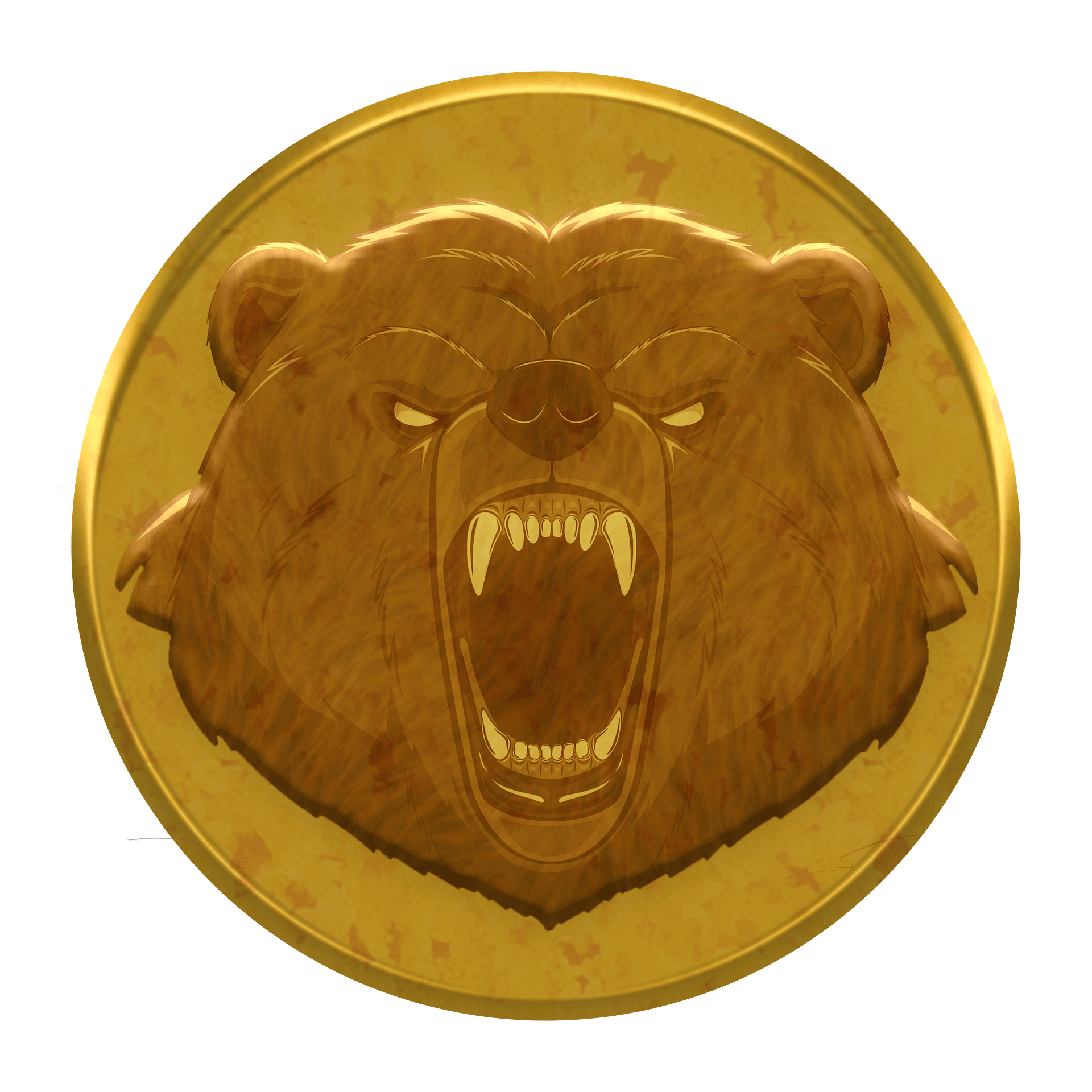 Bear Power Coin - Hoodie product image (7)