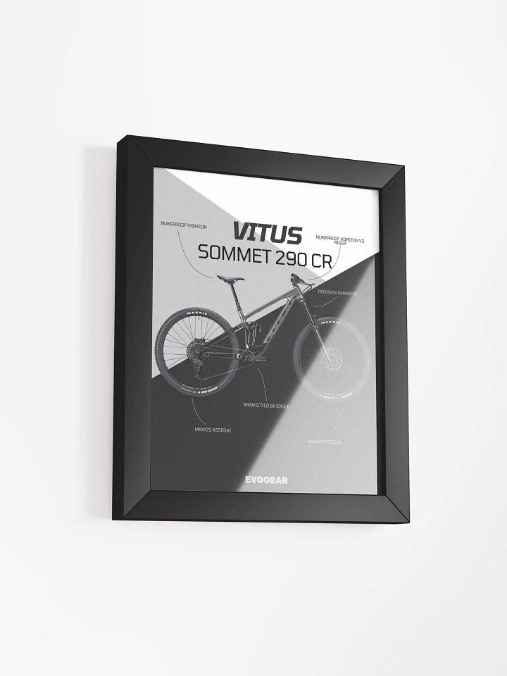 Vitus Sommet 290 CR Frame product image (9)