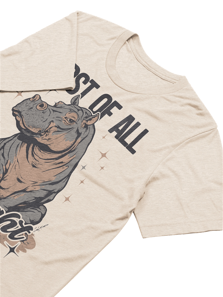 The "I'm a Delight" Hippo Triblend T-shirt product image (31)