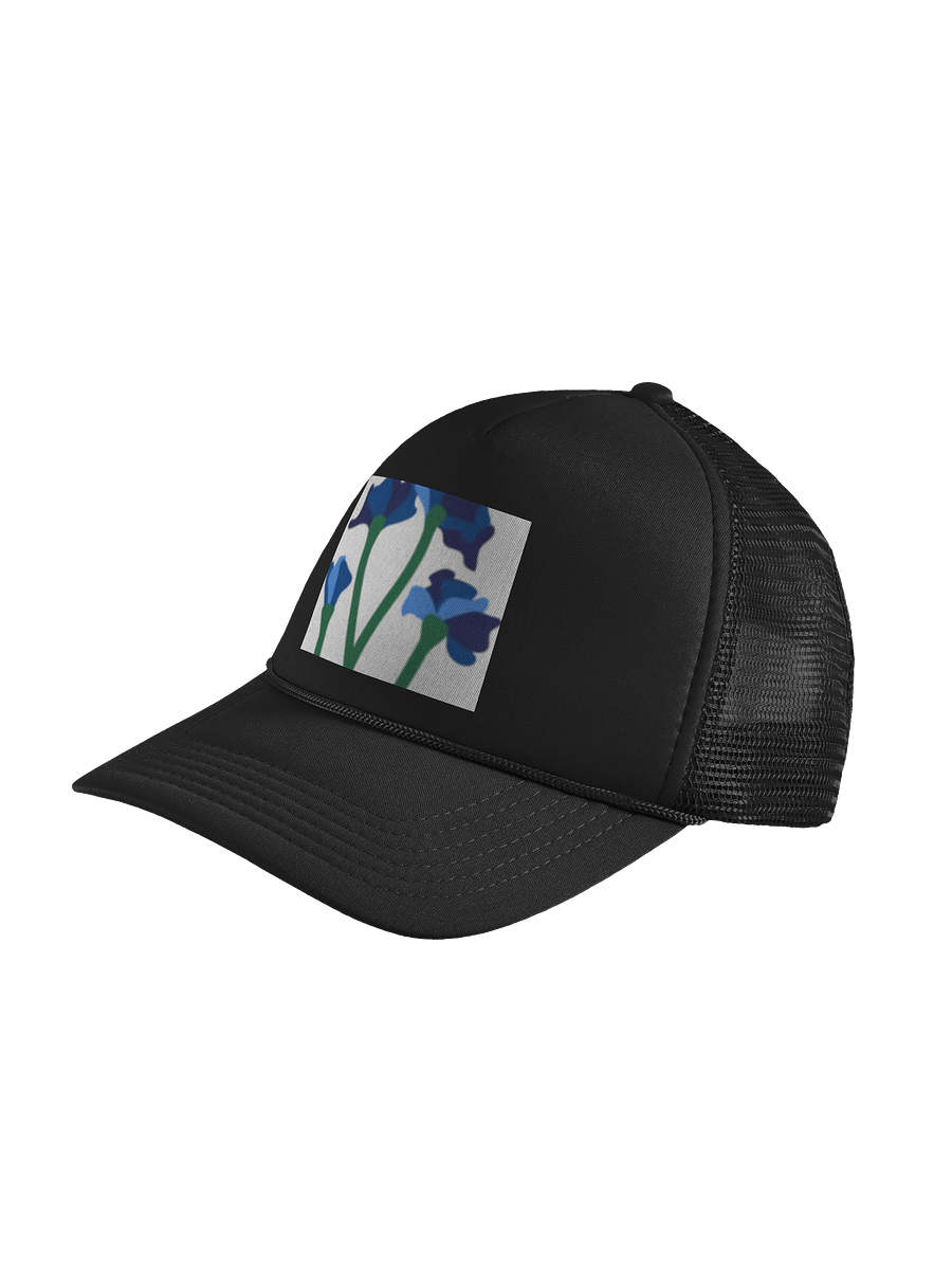 Mũ đen product image (7)