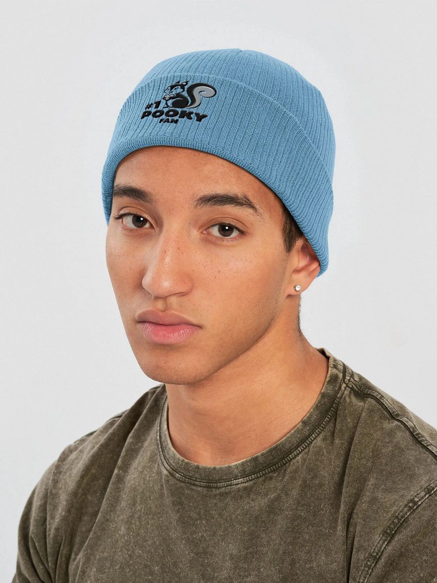 Organic Cotton Embroidered Beanie: #1 Pooky Fan 20s illustration style product image (3)