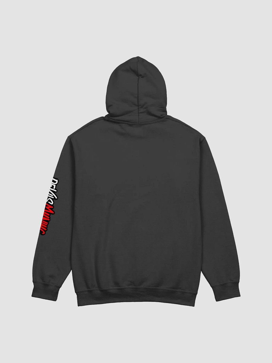 DM Hoodie with Maniac Sleeve product image (6)