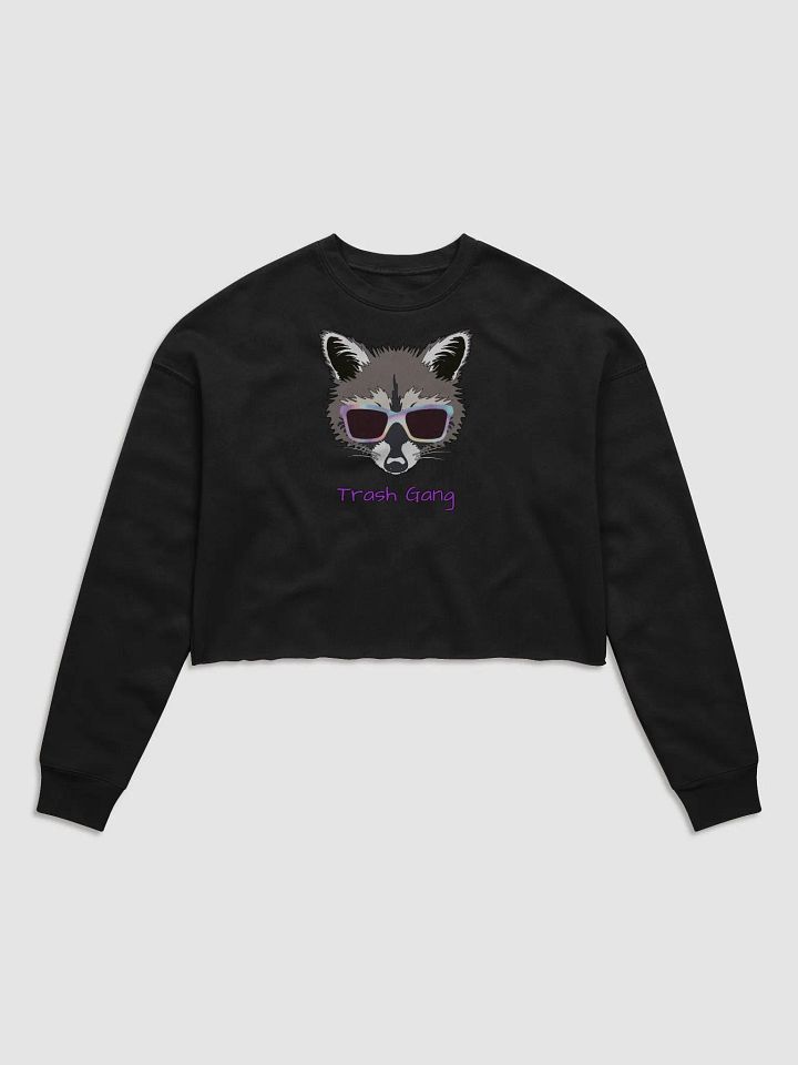 TG Crop Sweater product image (1)