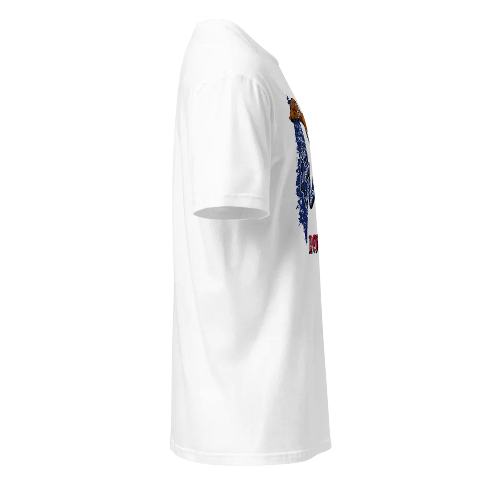 Iowa State Flag product image (4)