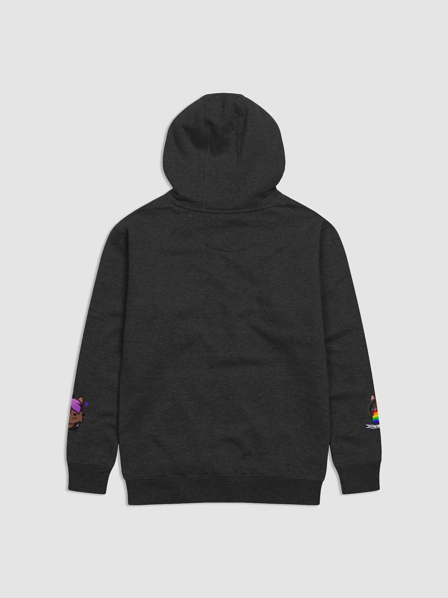 Pansexual Pride Hoodie product image (7)