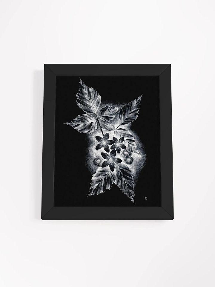 Monochrome Nature Beauty Framed Poster - Dark Jasmine product image (1)