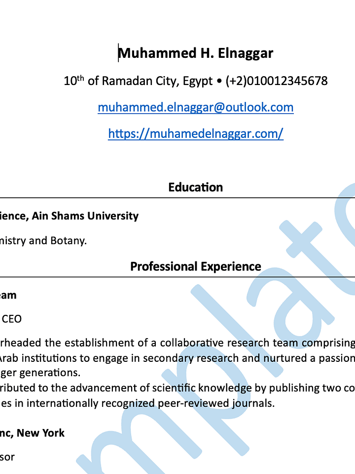 My CV template product image (1)