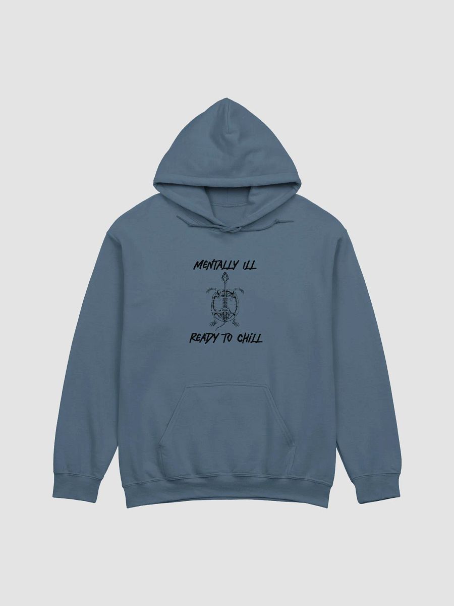 Ready 2 Chill - Hoodie product image (3)