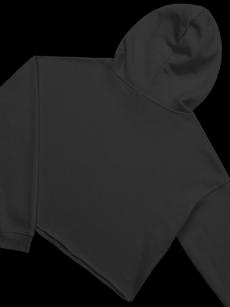 Snowglobe Cropped Hoodie product image (10)