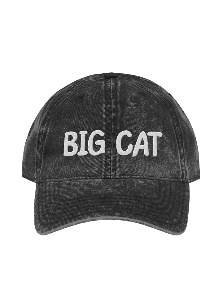 Big Cat product image (1)