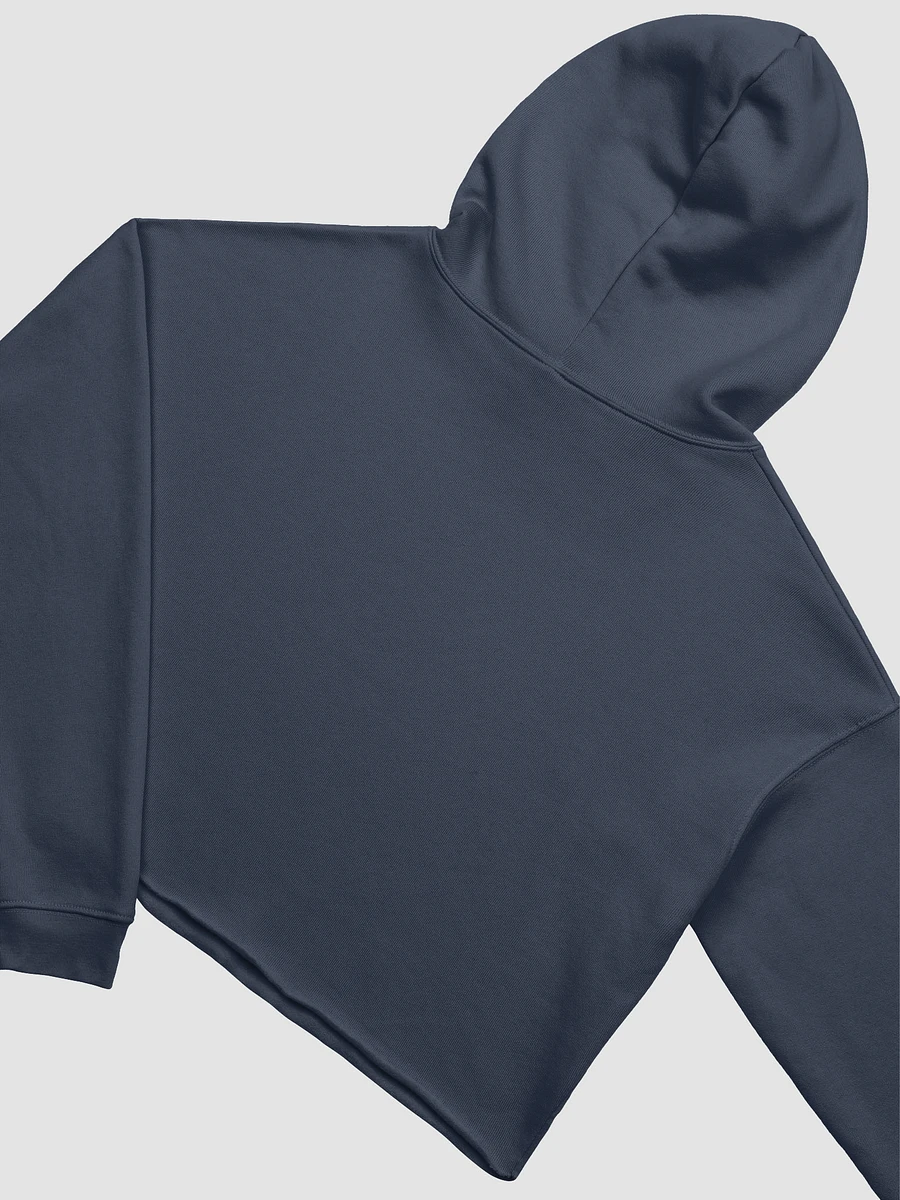 Hedgelog & Chapterpillar - Crop Hoodie product image (4)