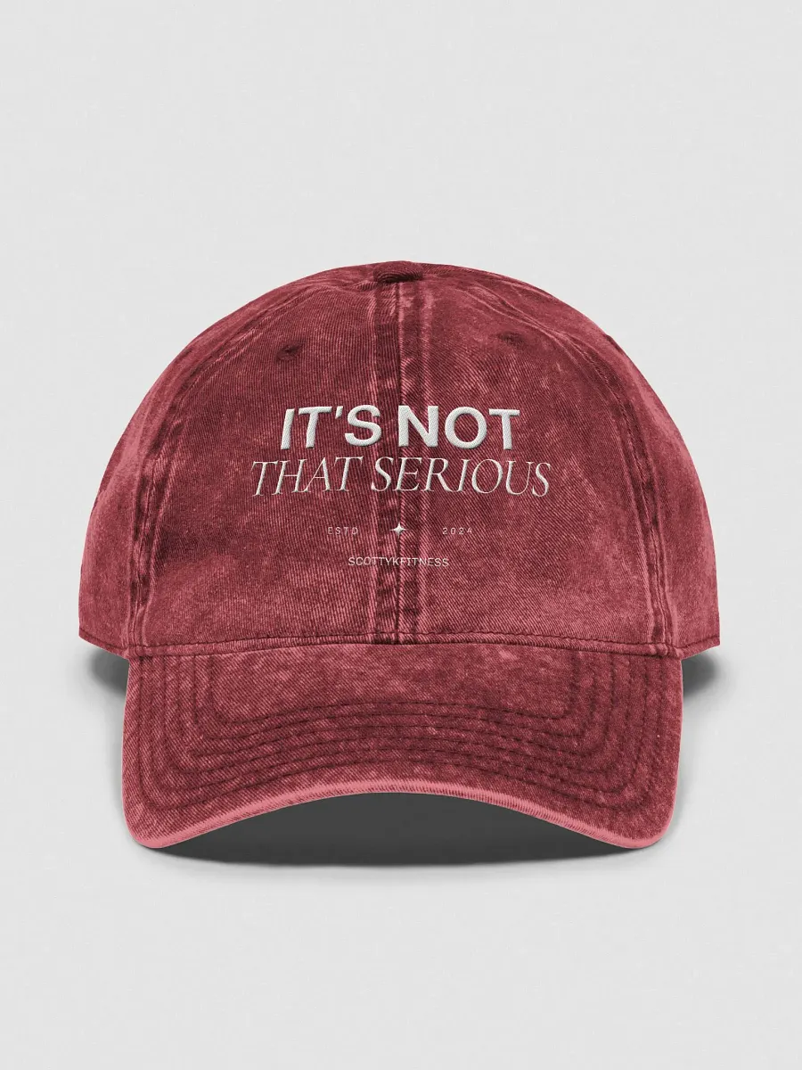 It's Not That Serious Dad Cap product image (2)