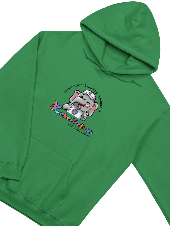 Gildan Classic Hoodie product image (2)