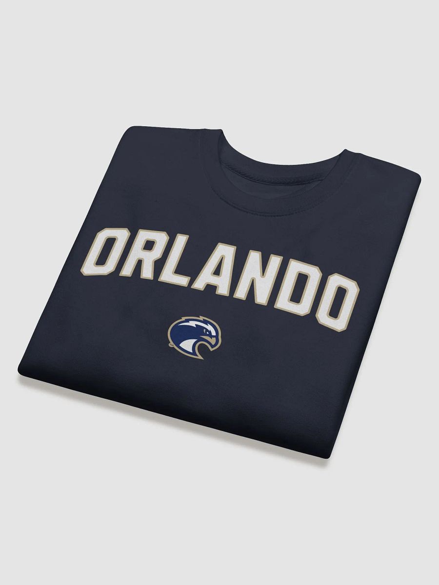Orlando Eagle Emblem Sweatshirt product image (4)