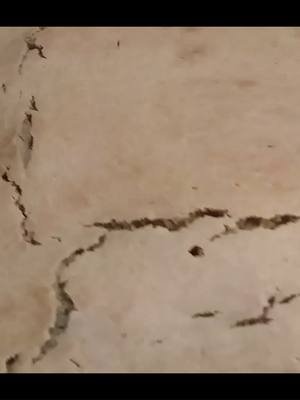 TORTA DE MIEL EN PLANCHA PARA VENDER: RECETA SENCILLA PARA TODOS 📝 Descripción  Hoy te enseño a preparar esta torta de miel súper esponjosa y deliciosa, ideal para vender o compartir en casa. Usamos miel de caña de azúcar, harina leudante y harina común para lograr un sabor casero inigualable. Es una receta económica, fácil y rápida que te ayudará a ganar dinero en tu emprendimiento de repostería.   🍰 Ingredientes:   ✔️ 5 huevos  ✔️ 300 ml de miel de caña de azúcar  ✔️ 10 gr de bicarbonato de sodio  ✔️ 200 gr de manteca a punto pomada  ✔️ 2 tapitas de esencia de vainilla  ✔️ 350 ml de leche  ✔️ 500 gr de harina 000 o todo uso  ✔️ 500 gr de harina leudante   👉 Hornear a 180°C por 40 minutos.   ✨ Mirá el paso a paso completo en el video y no olvides SUSCRIBIRTE para más recetas fáciles y económicas.  🍯 Ingredientes  🥚 Huevos: 5 🍯 Miel de caña de azúcar: 300 ml 🥄 Bicarbonato de sodio: 10 gr 🧈 Manteca (a punto pomada): 200 gr 🍦 Esencia de vainilla: 2 tapitas 🥛 Leche: 350 ml 🌾 Harina 000 o todo uso: 500 gr 🌾 Harina leudante: 500 gr  🔥 Hornear a 180°C por 40 minutos.