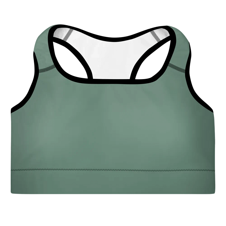 Elevate Your Workout Style with the IBVL X JV Padded Sports Bra product image (1)