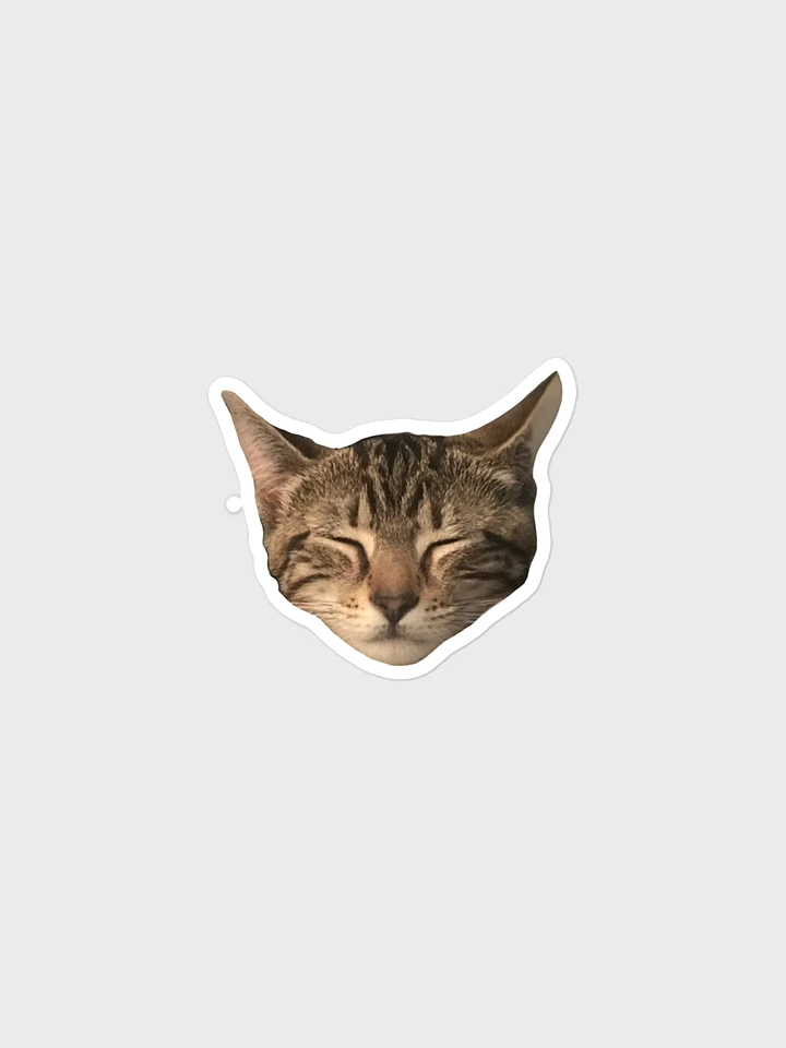 [TheStayAtHomeAstronaut] Cat Bubble-free stickers product image (1)