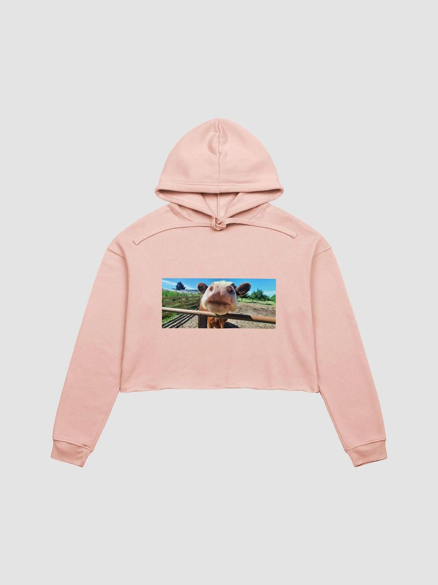 Cozy Cowrner product image (2)