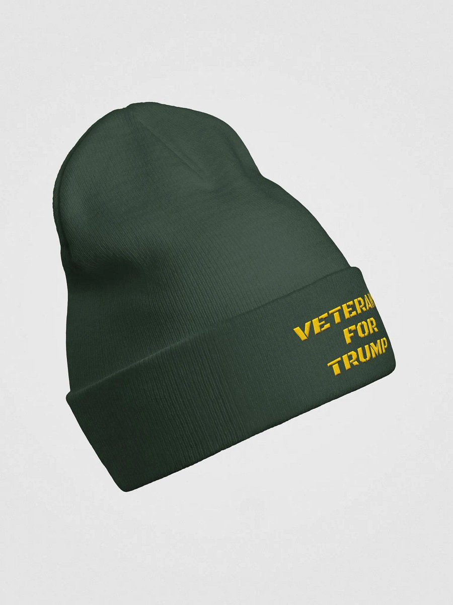 Veterans For Trump Beanie product image (11)