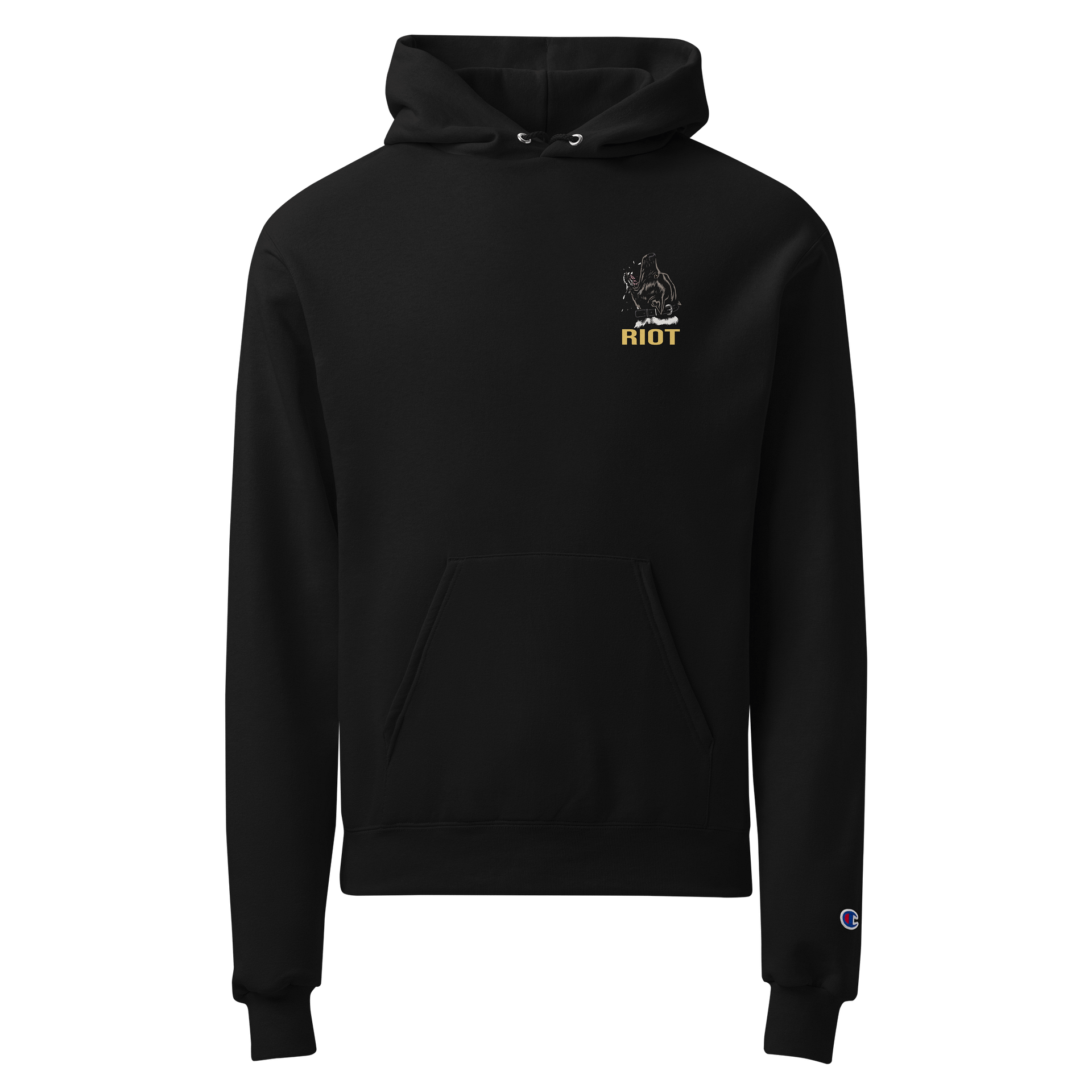 Disrespect Your Surroundings - Champion Hoodie product image (2)