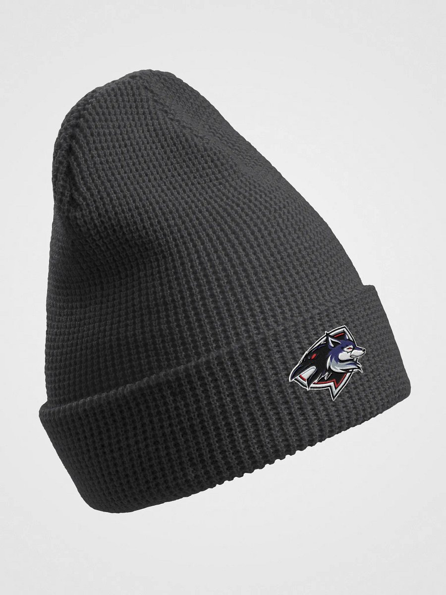 Raven Logo Waffle Beanie product image (14)