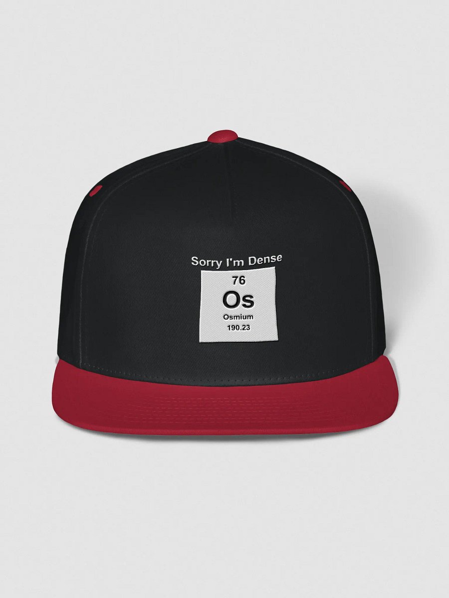 Sorry I'm Dense Snapback product image (1)