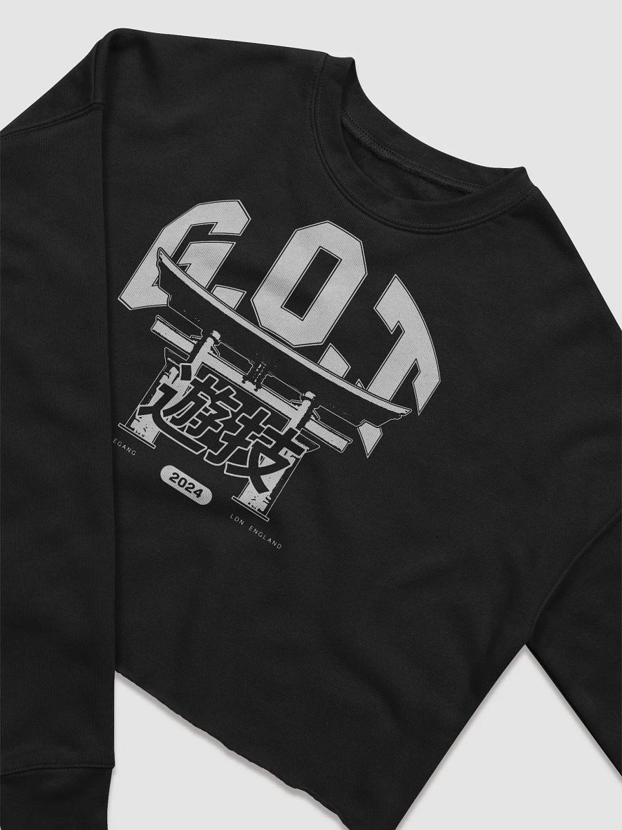 G.O.T CROPPED VARSITY JUMPER product image (3)
