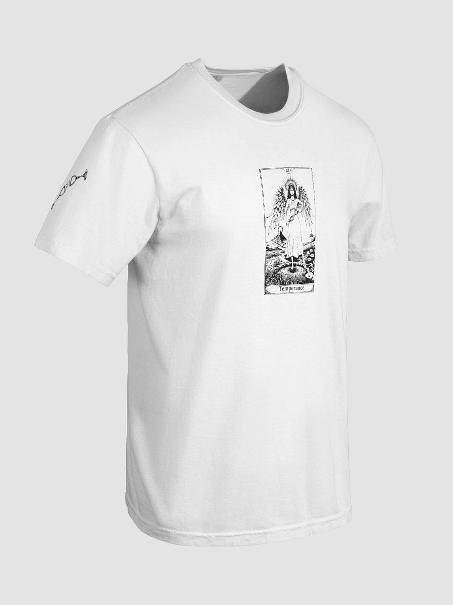 Tarot Inner Temple, Temperance (Major Arcana XIV) product image (8)