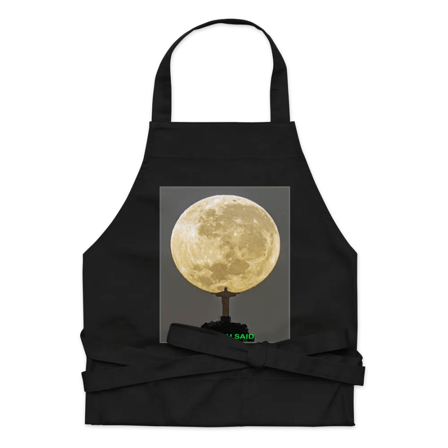 Christ the Redeemer Holding the Moon product image (6)