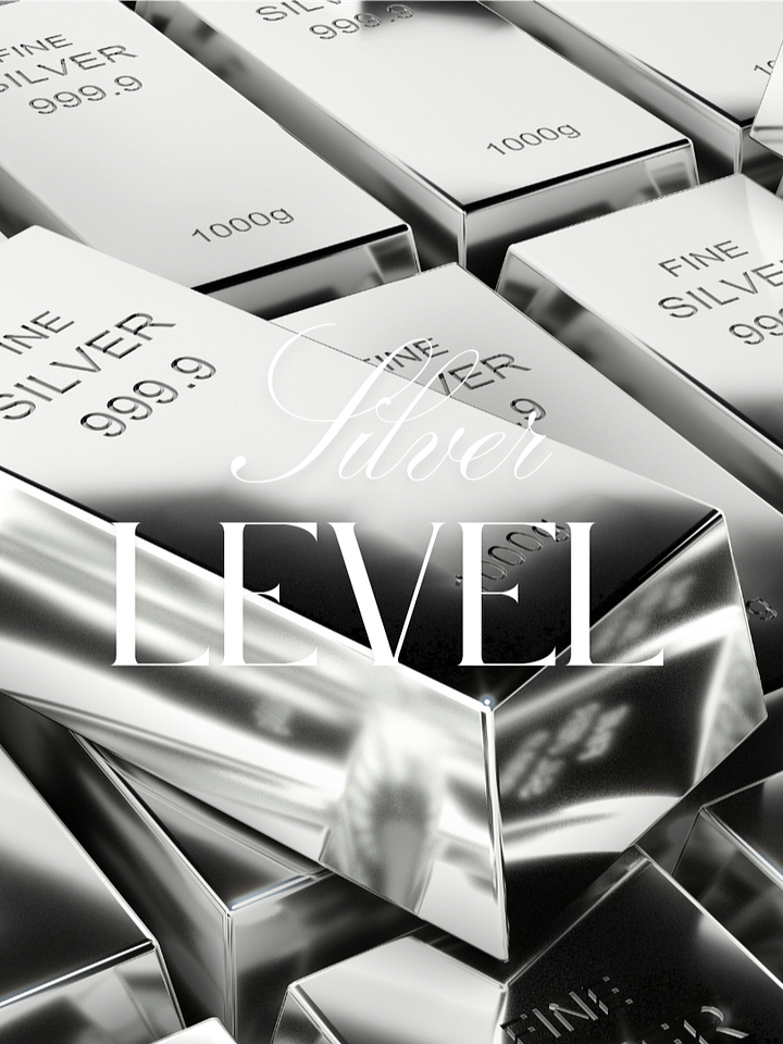 Silver Level - Sponsorship product image (1)