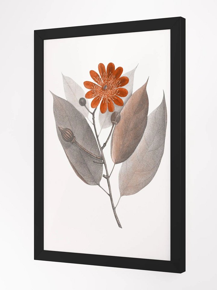 Ecotone Rust Flower Framed Print product image (2)