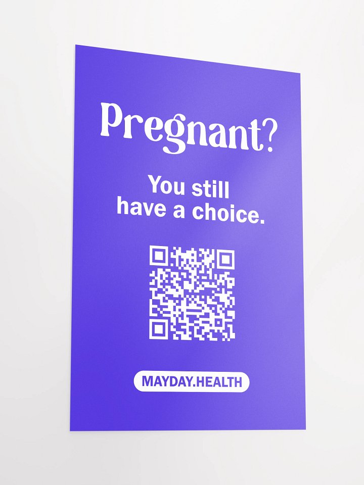 Pregnant? Poster product image (4)