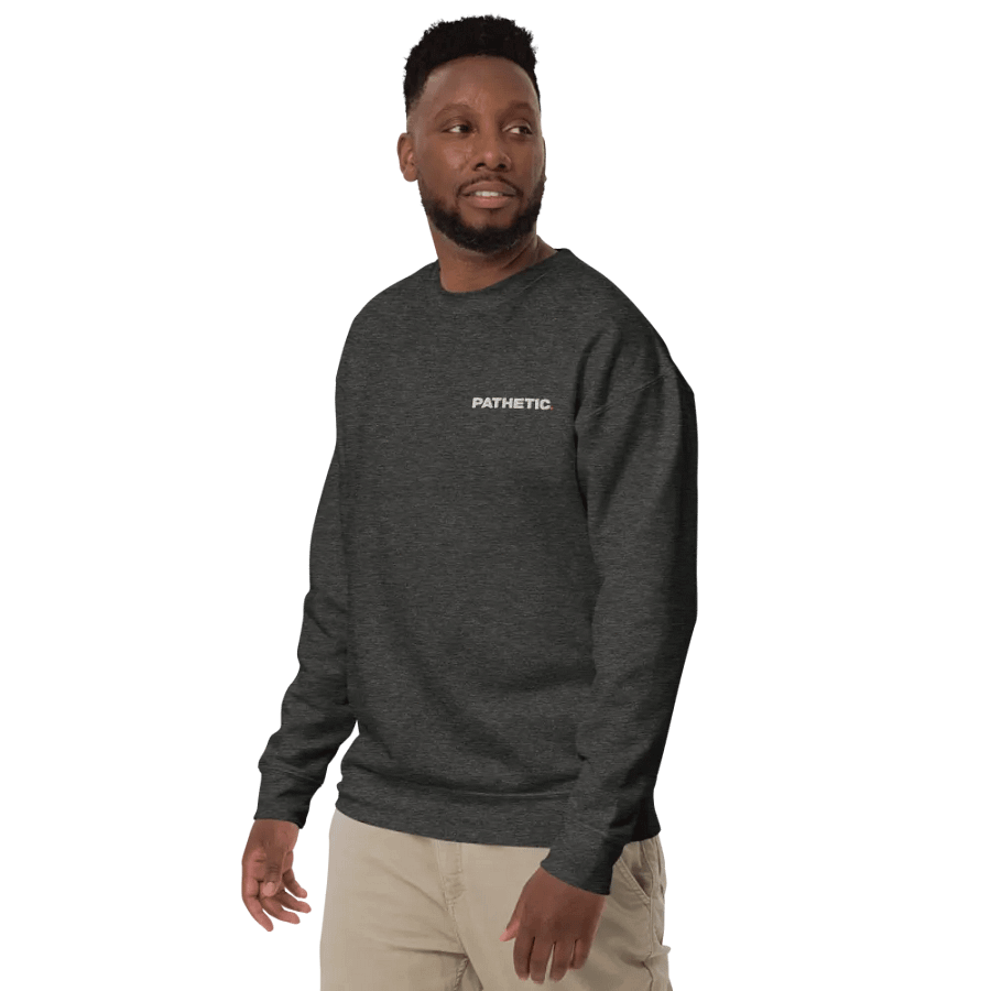 Embroidered Pathetic Sweater product image (12)