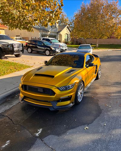 Who needs golden hour when it is gold 
.
.
.
.
.
.
.
#ford #s550 #turbo #carlovers #carporn #cargram #cars #wrap #v6 #mustang...
