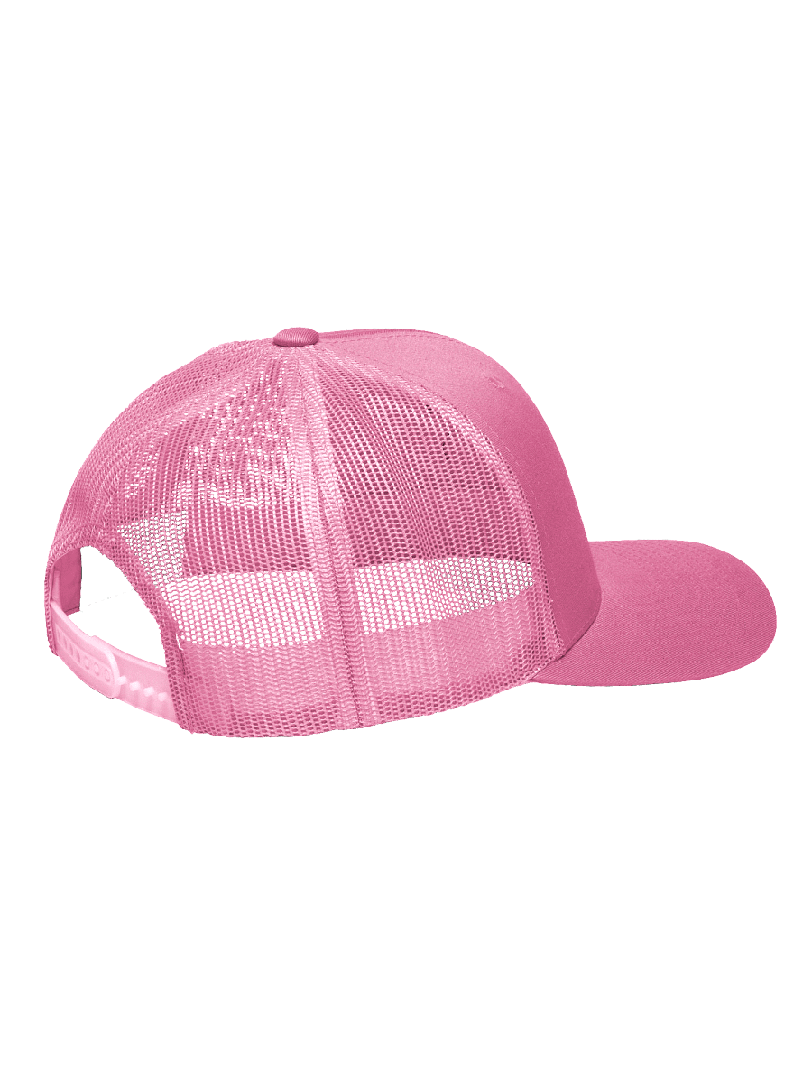 Entropy Logo Trucker Cap product image (3)