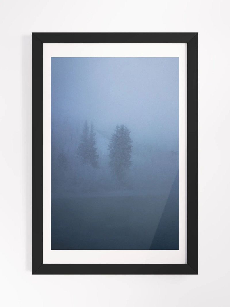Foggy Trees