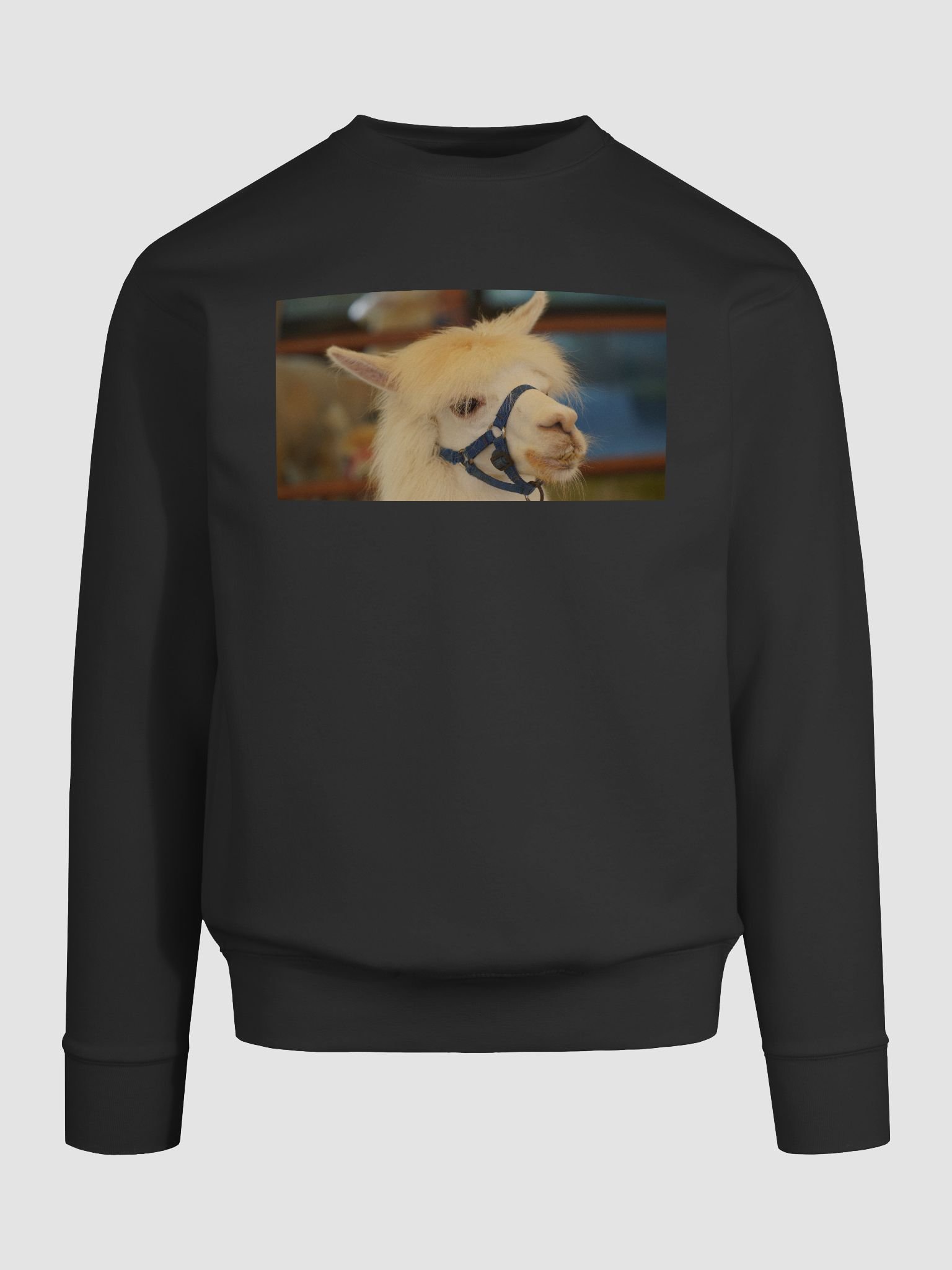 Llama Love Premium Sweatshirt product image (9)