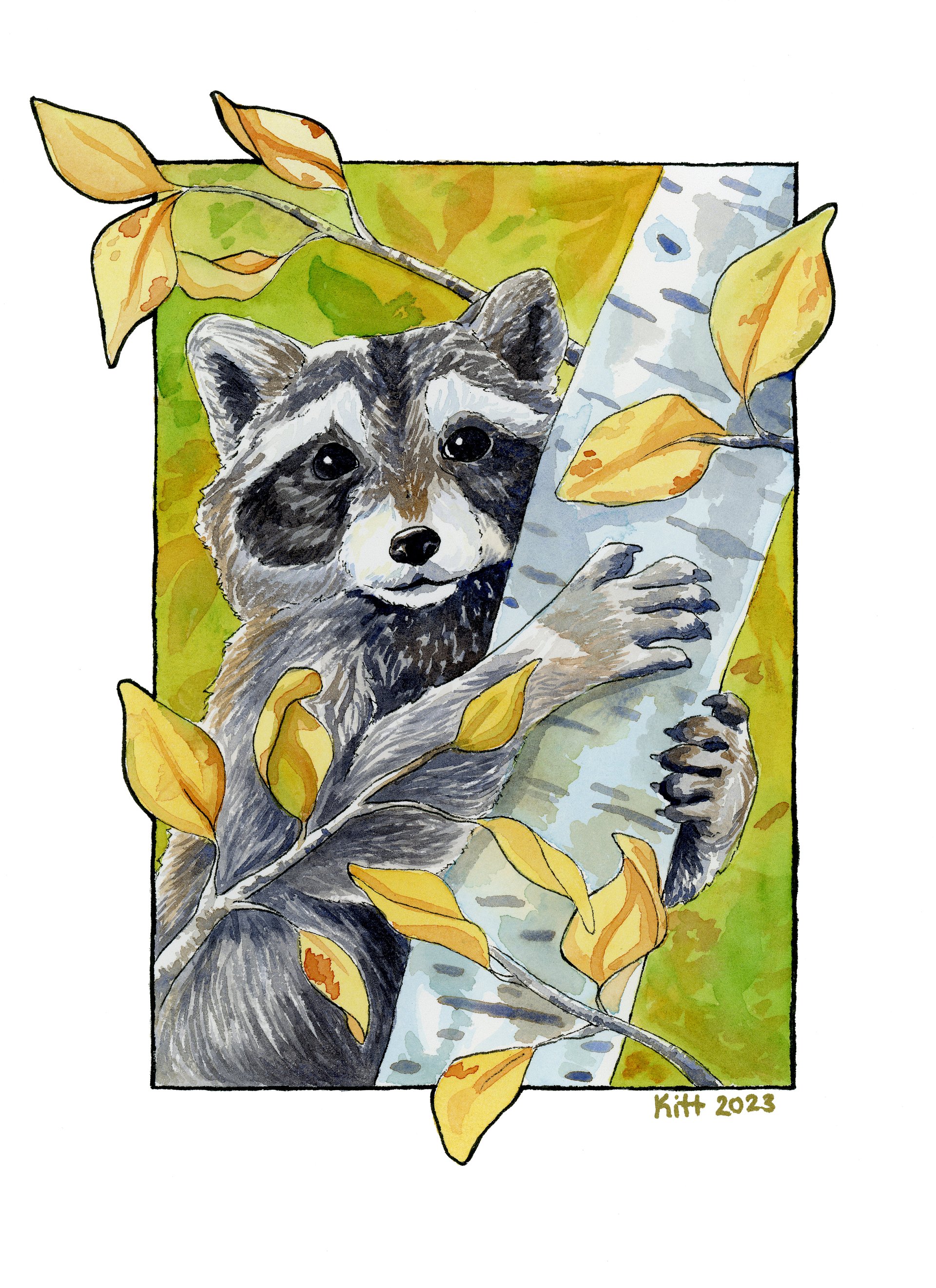 Birch Racoon 8.5x11 Print product image (1)
