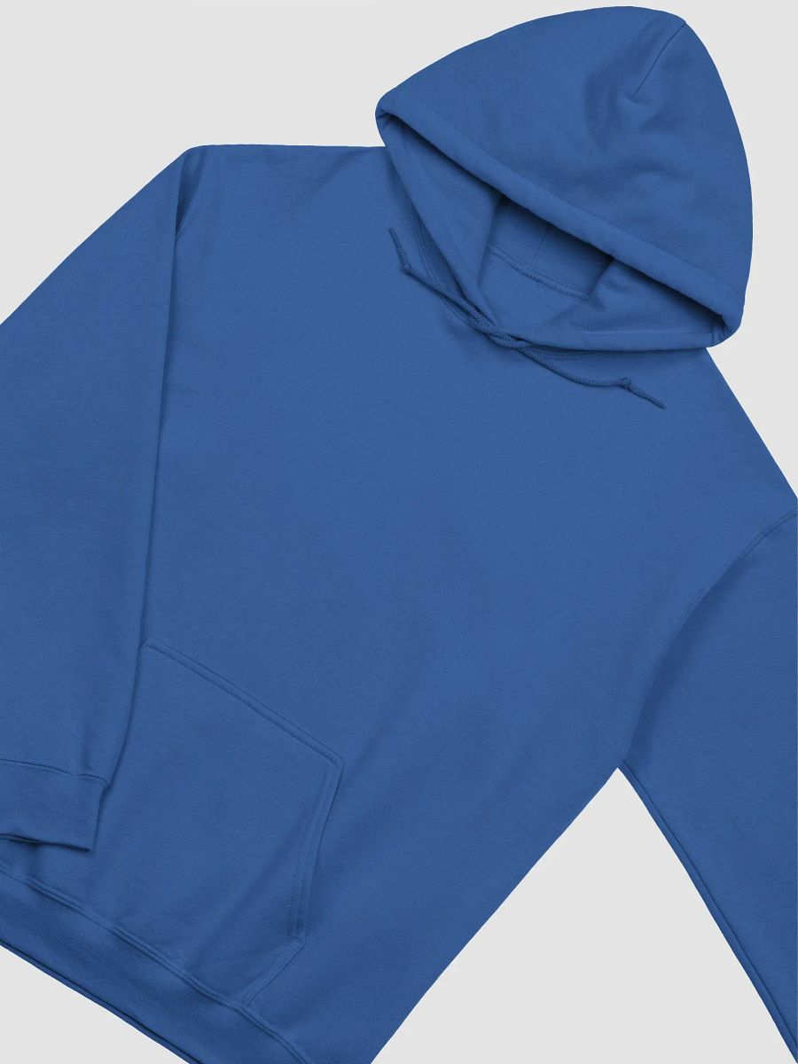 Super Rich Kids - Hoodie product image (5)