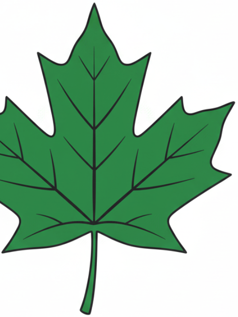 Maple Leaf for Cap product image (2)