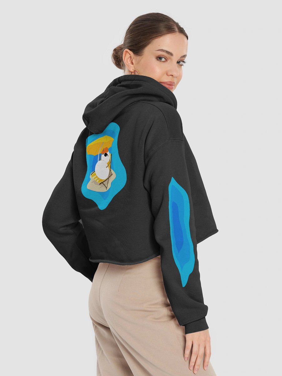 Frosty Relax Cropped Hoodie product image (6)