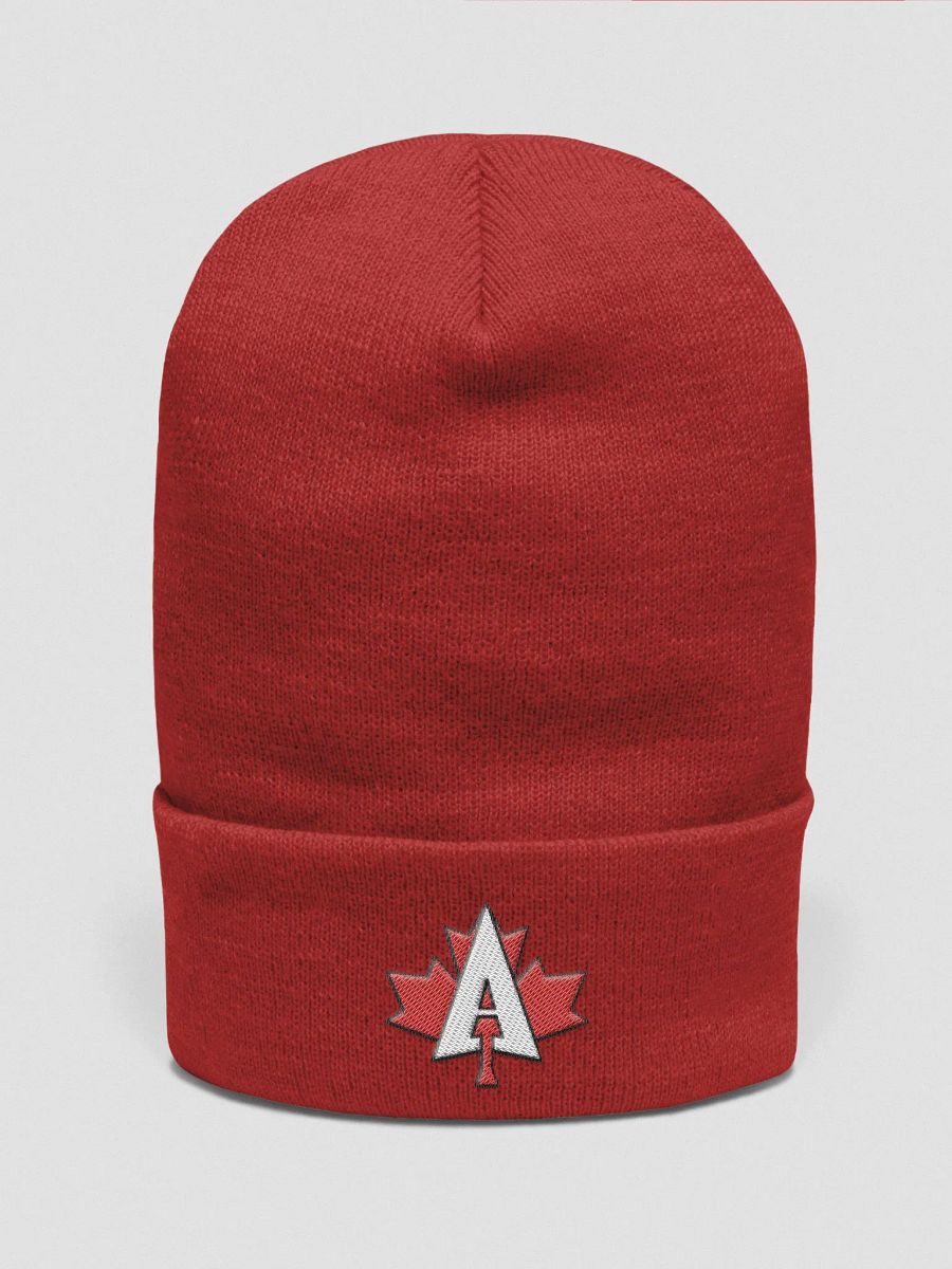 Autumn Leaf Embroidered Beanie product image (6)