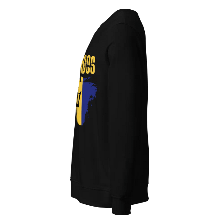 Trident Pride Unisex Organic Sweatshirt by CultuRep product image (2)