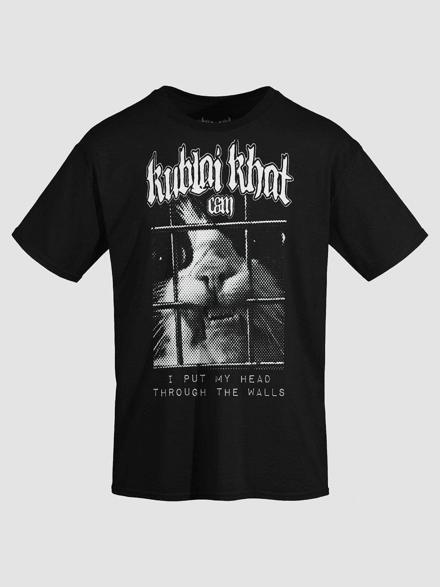KUBLAI KHAT THROUGH WALLS product image (3)