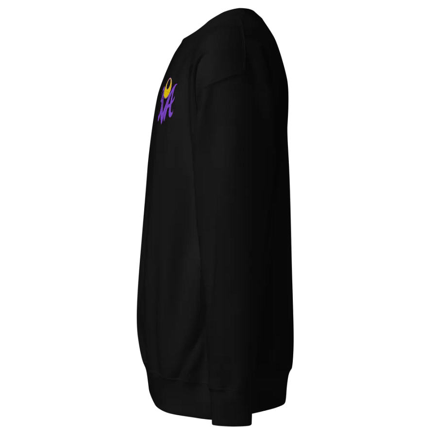 3VA Embroidered Crewneck Sweatshirt product image (3)