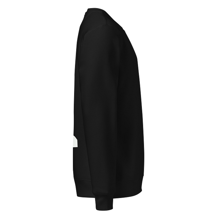 Stanley/Stella Unisex Organic Sweatshirt product image (2)