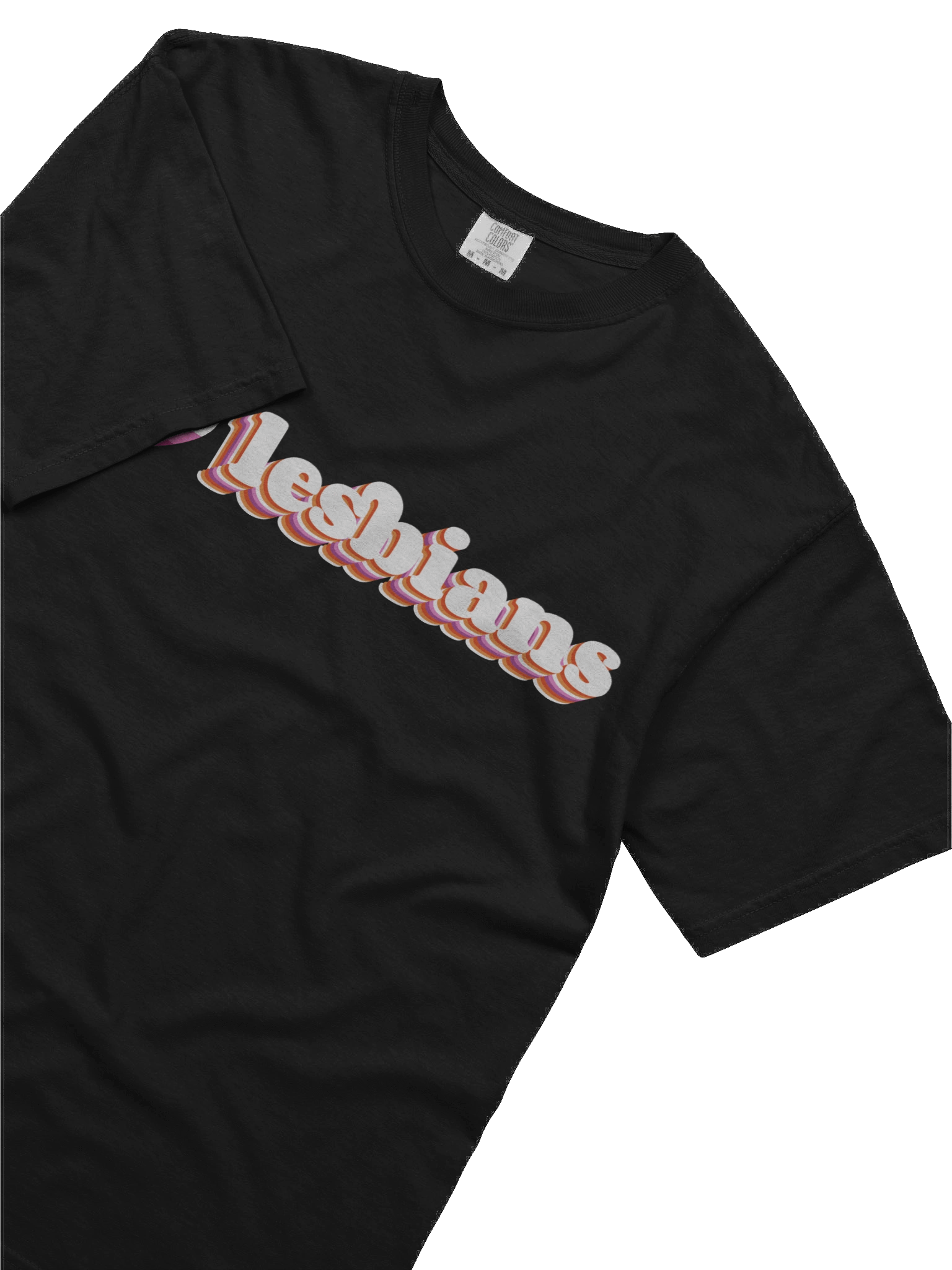 i love lesbians tee product image (5)