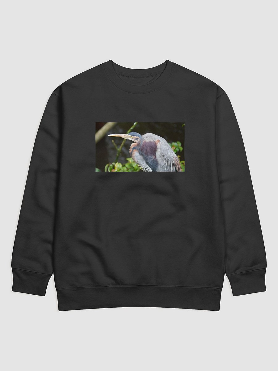 Colorful Plumage Cotton Sweatshirt product image (1)