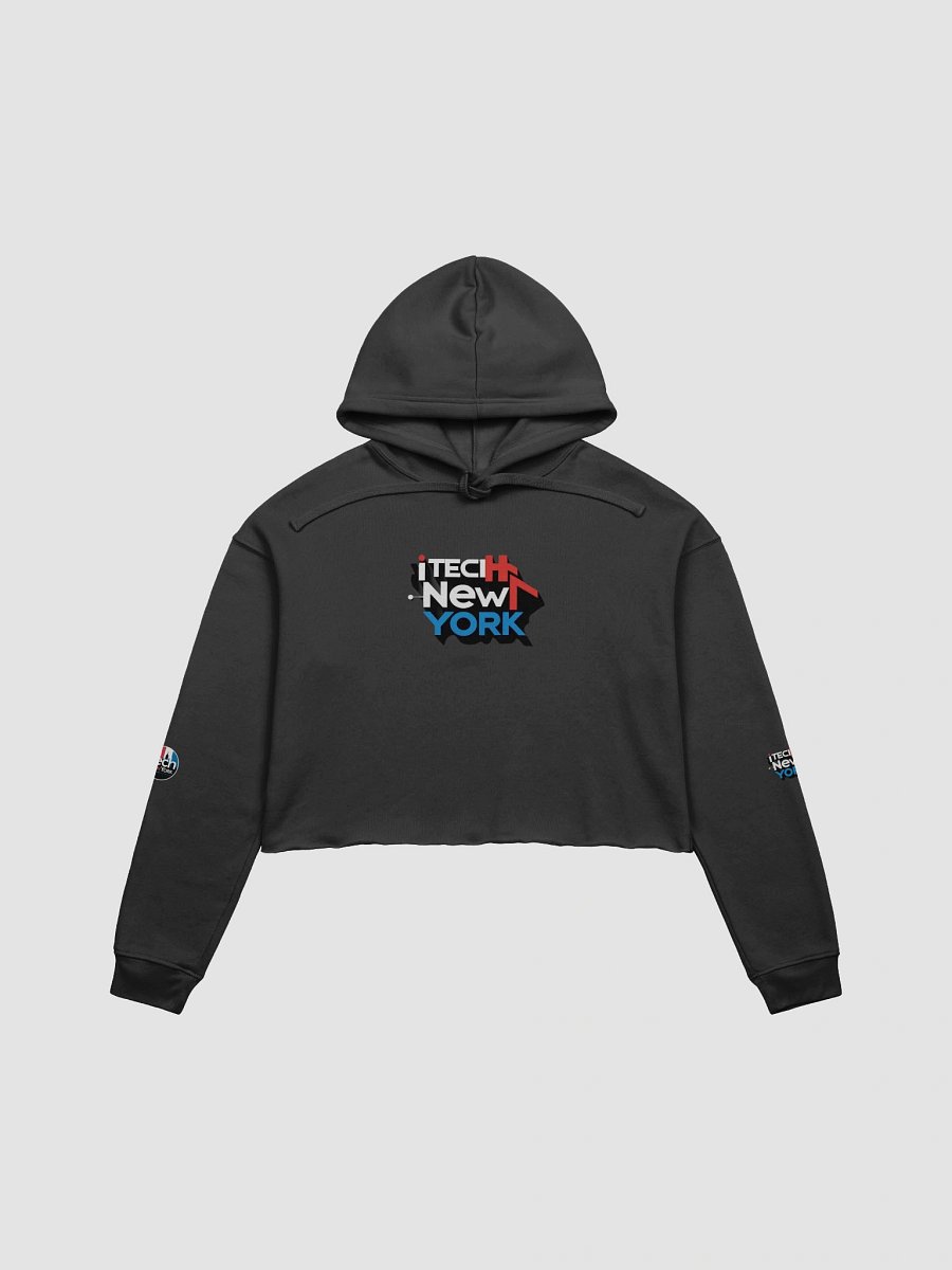 iTechNewYork Nombre + Circle Logo Cropped Hoodie product image (1)